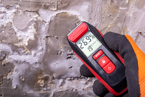 Mold Testing and Removal in Tenafly, NJ